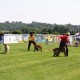 RRS_Fotogalerien_2010-06-27_Dog_Day030