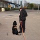 RRS_Fotogalerien_2012-04-01_Mantrailing011