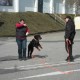 RRS_Fotogalerien_2012-04-01_Mantrailing014