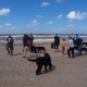 2012-07-29 RRS Holland Hundestrand_057