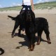 2012-07-29 RRS Holland Hundestrand_225