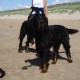 2012-07-29 RRS Holland Hundestrand_226