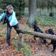 RRS_Fotogalerien_2013-11-03_Wald-Agility059