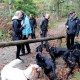 RRS_Fotogalerien_2013-11-03_Wald-Agility063
