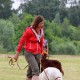 RRS_Fotogalerien_2016-06-12_Hundestunde046