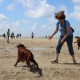 RRS_Fotogalerien_2016-07-03_Noordwijk014