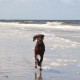 RRS_Fotogalerien_2016-07-03_Noordwijk035
