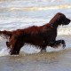 RRS_Fotogalerien_2016-07-03_Noordwijk036