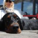 RRS_Fotogalerien_2016-07-03_Noordwijk057