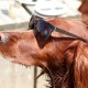 RRS_Fotogalerien_2016-07-03_Noordwijk062