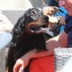 RRS_Fotogalerien_2016-07-03_Noordwijk069