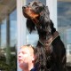 RRS_Fotogalerien_2016-07-03_Noordwijk078