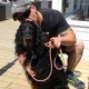 RRS_Fotogalerien_2016-07-03_Noordwijk081