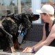 RRS_Fotogalerien_2016-07-03_Noordwijk088