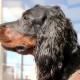 RRS_Fotogalerien_2016-07-03_Noordwijk095