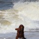 RRS_Fotogalerien_2016-07-03_Noordwijk102