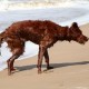 RRS_Fotogalerien_2016-07-03_Noordwijk104