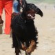 RRS_Fotogalerien_2016-07-03_Noordwijk107