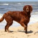 RRS_Fotogalerien_2016-07-03_Noordwijk112