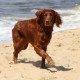 RRS_Fotogalerien_2016-07-03_Noordwijk113