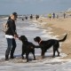 RRS_Fotogalerien_2016-07-03_Noordwijk117
