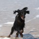 RRS_Fotogalerien_2016-07-03_Noordwijk121