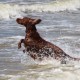 RRS_Fotogalerien_2016-07-03_Noordwijk128