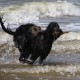 RRS_Fotogalerien_2016-07-03_Noordwijk129