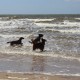 RRS_Fotogalerien_2016-07-03_Noordwijk137